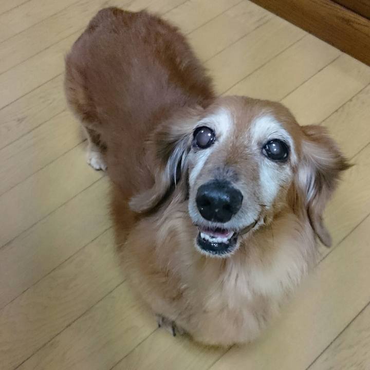 C2059200 fea8 4bd5 af77 4234cd57f940