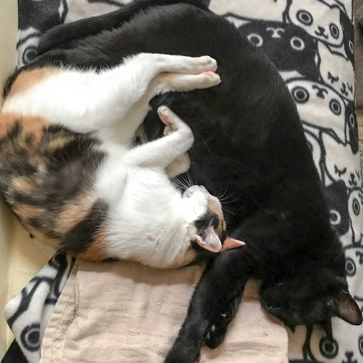 C206675a 63c2 4212 9329 eb0349941b2a