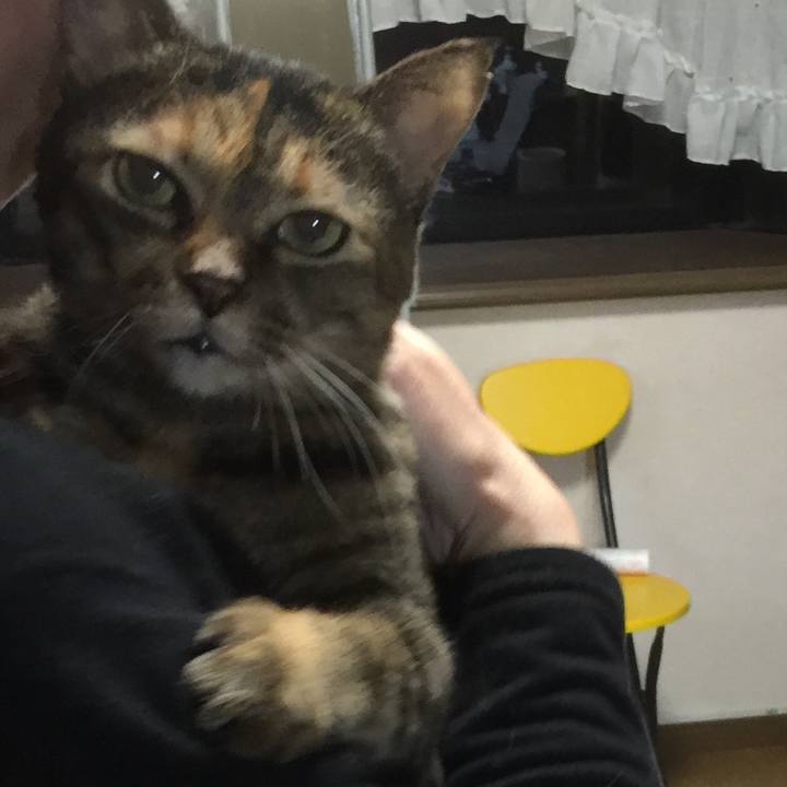 C206a076 d3eb 42f0 ad7e 34559c2494df