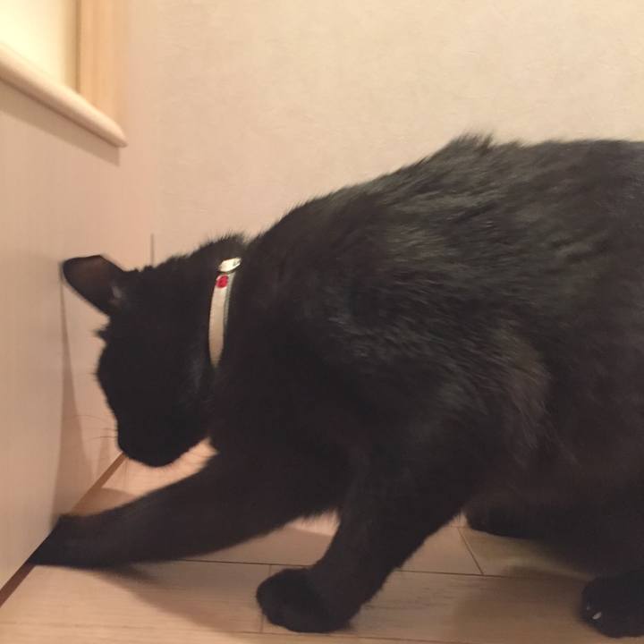 C206dc3e df79 4cdf 9681 4bf4a0d2b695