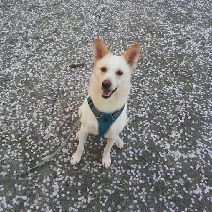 C20726f2 91dd 49a3 90ce 75912ba85dd2