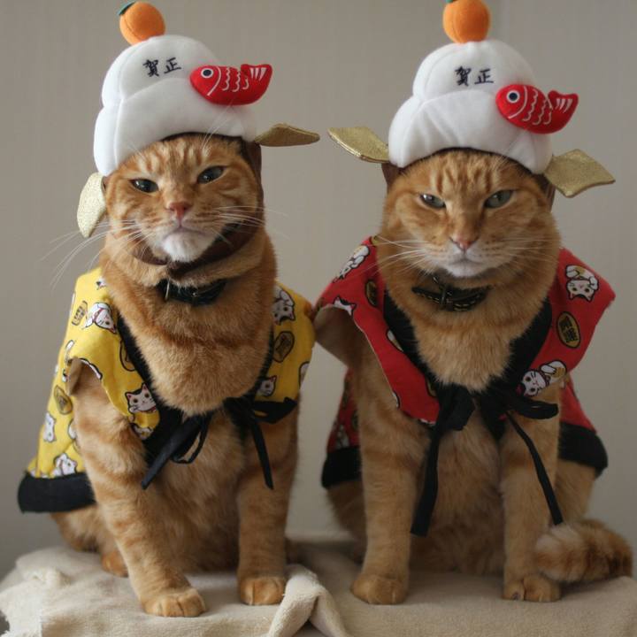 C2073fc3 6830 41fc 99f9 35f5a390993a