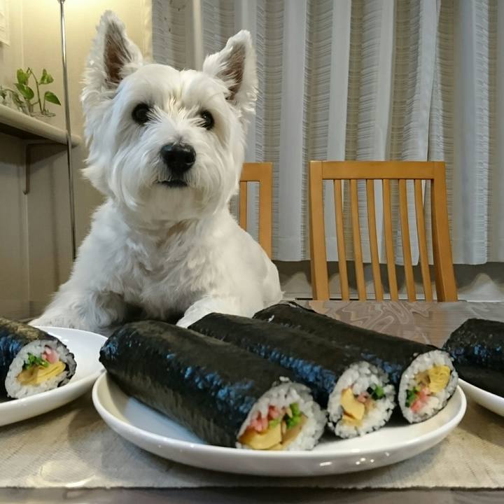 C207f937 e9a1 4a0f 8bf4 201ed73c00df