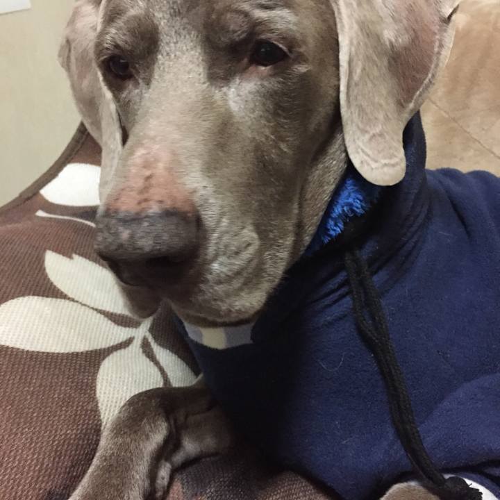 C208148e 01c2 44df a142 4ec56045bd7d