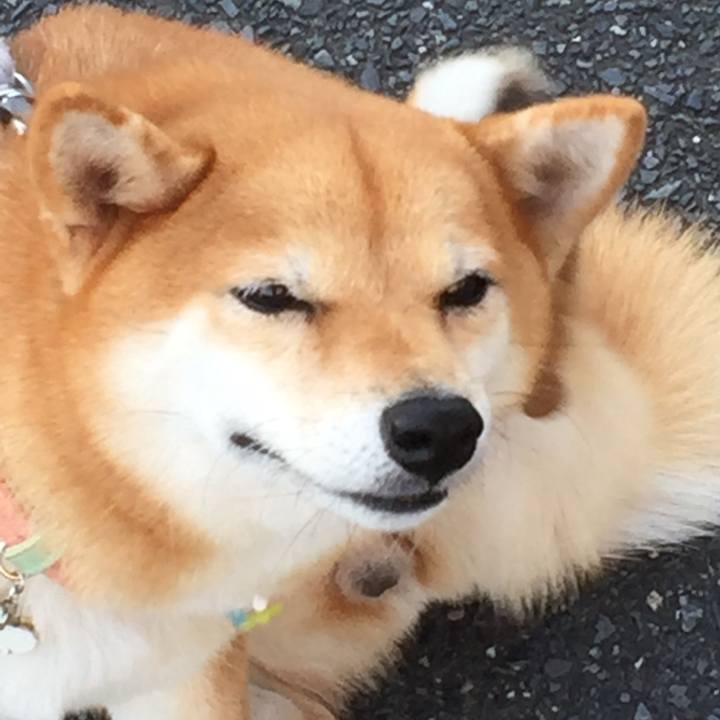 C2085d8f 575b 47a3 9695 42cffacb9611