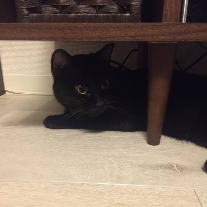 C209b008 aeda 427e 994d d9928619039f