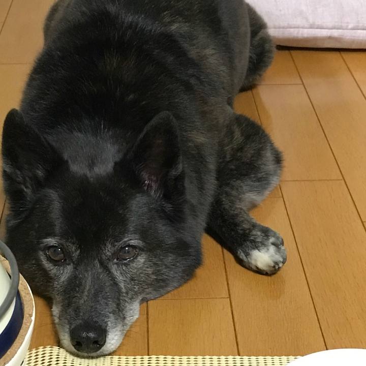 C209be9d b297 4c80 a421 143f4e363c16