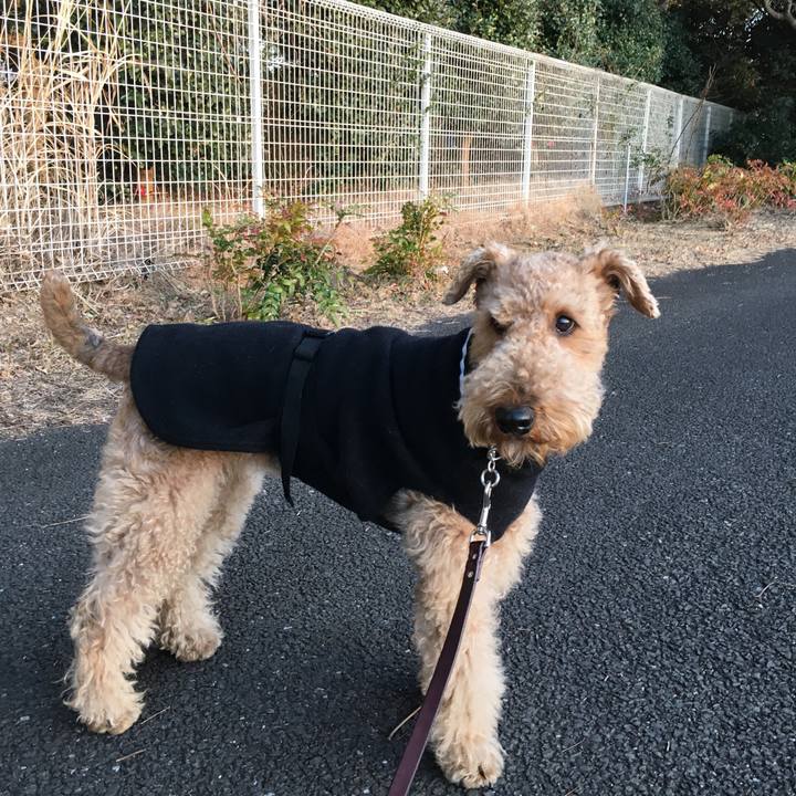 C20a38de 4b8a 407d b5b6 c95370561f77