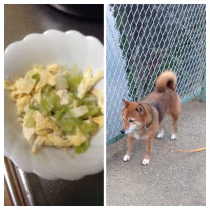 C20aa64d 9c9e 44db a298 20ef4917e1c6