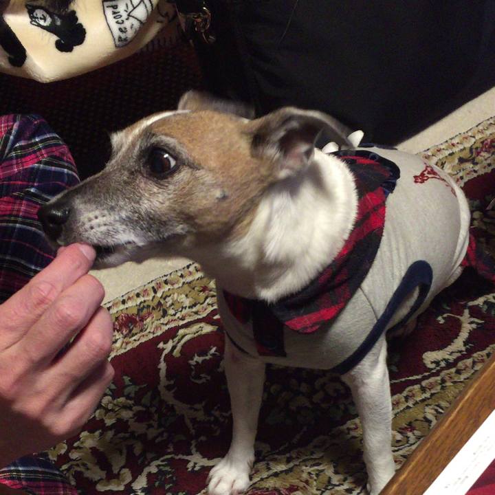 C20ad487 fea8 4f4c b866 8fdd8c5f2fc2