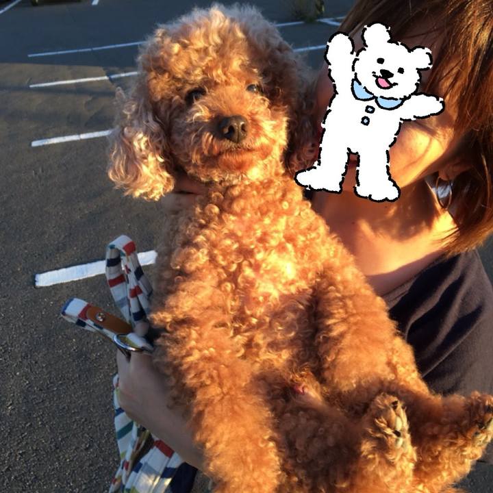 C20cfa24 6099 4fba 9463 d83d9a928953