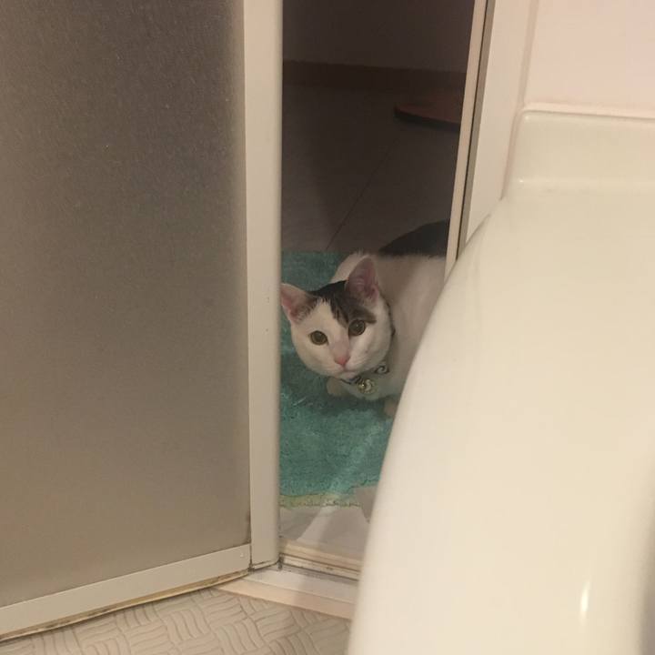 C20d5bf4 e396 4255 9be4 3e9ce1cbca16