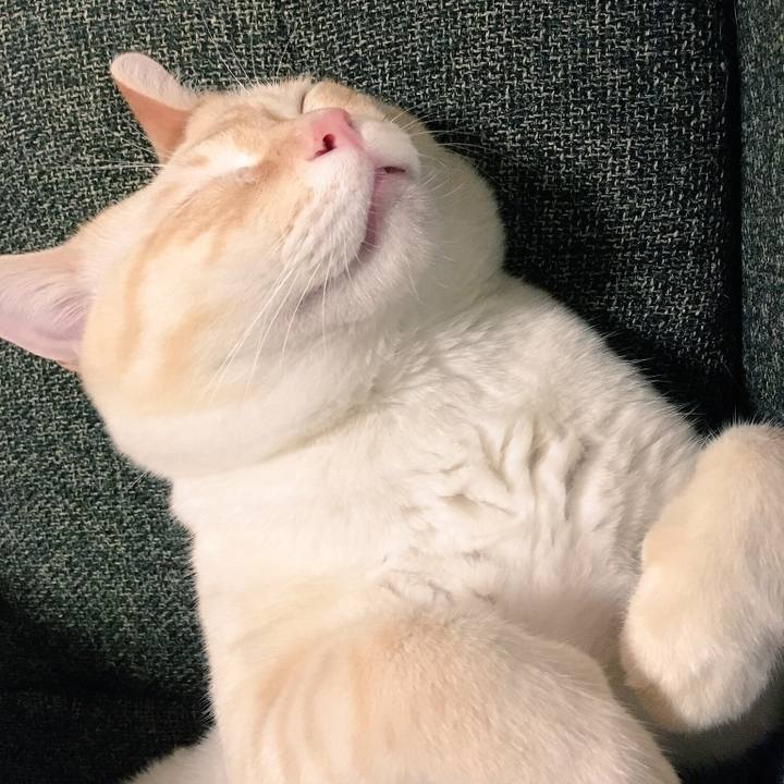 C20e3769 55f7 4212 9283 9a25e7d98840