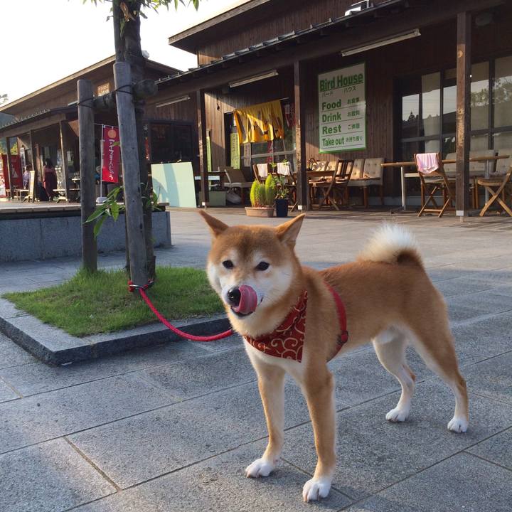 C20e4a0c 3008 45ba baf1 564a0ed05c24