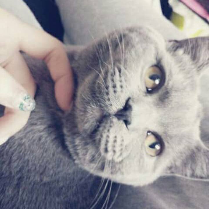 C20e5a99 e1f1 47c8 b055 47c03269074f