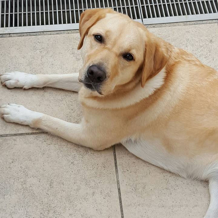 C20e6394 d2b8 4716 a2aa 8c8adba0d4a1