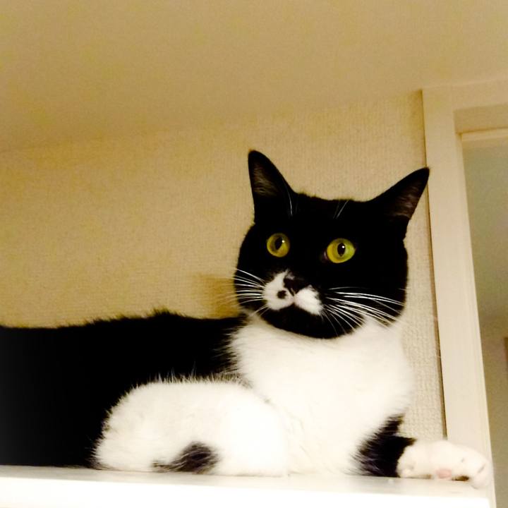 C20e7982 9207 4a45 b78d a29798c9ea4d