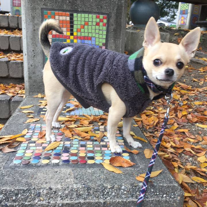 C20eac7e 76fe 4c56 97d3 eb5f8f23707c