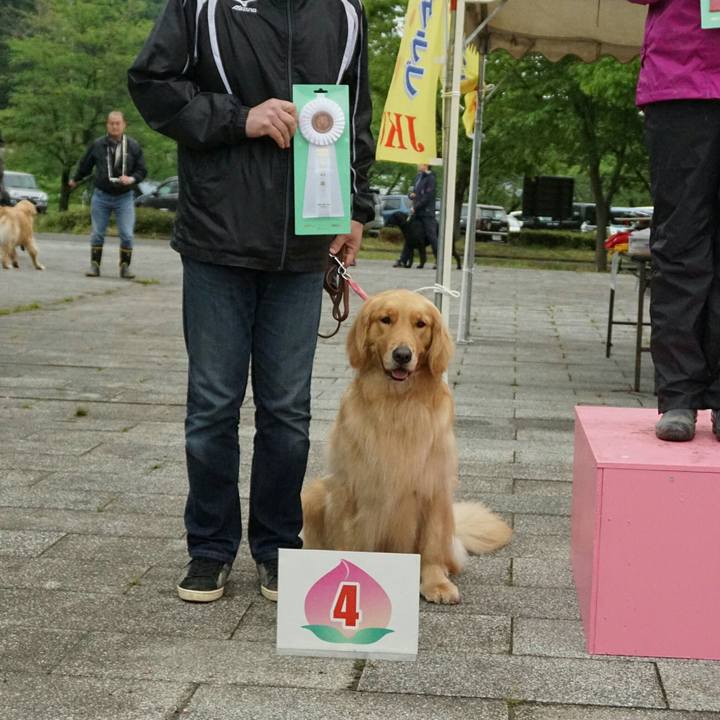 C20ff177 775d 42b2 9958 aa786e5ec642