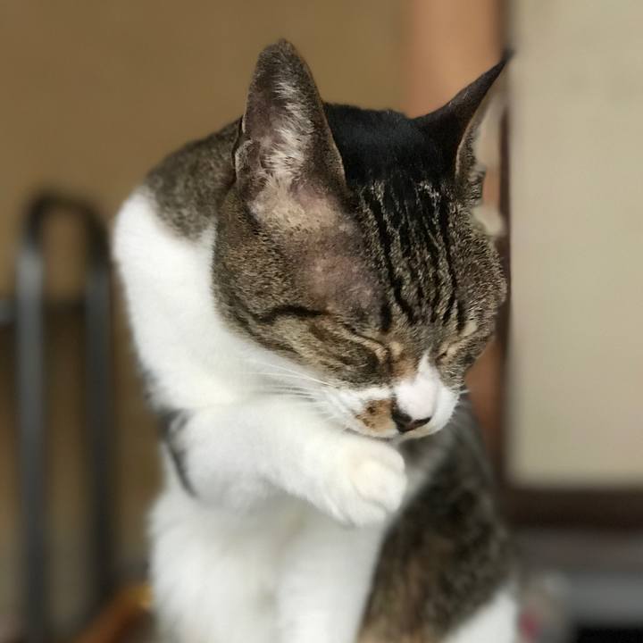 C2100cd0 0a90 4846 8938 c1e67836d8a1