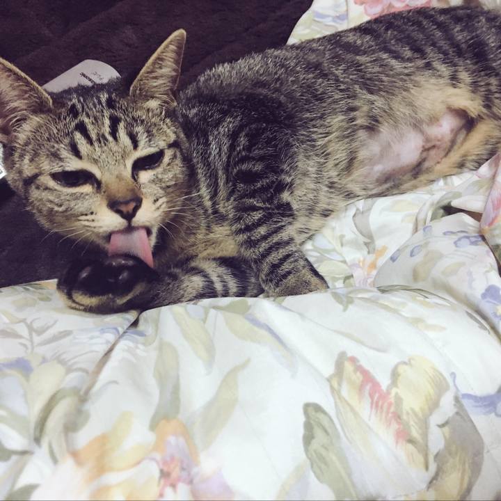 C2101813 197f 4477 934e 62a33c312cc1