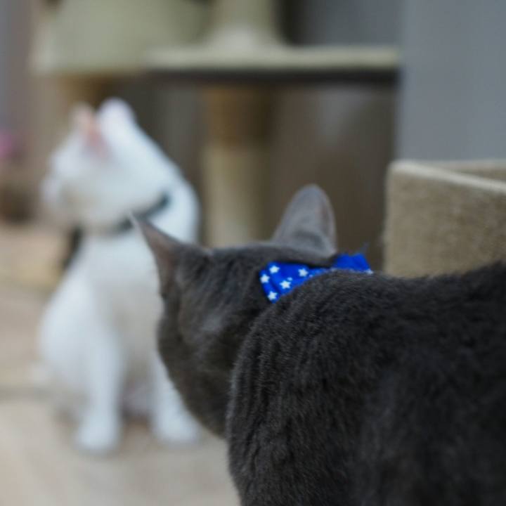 C210b841 b88d 4afc b7aa 879ea8a74491