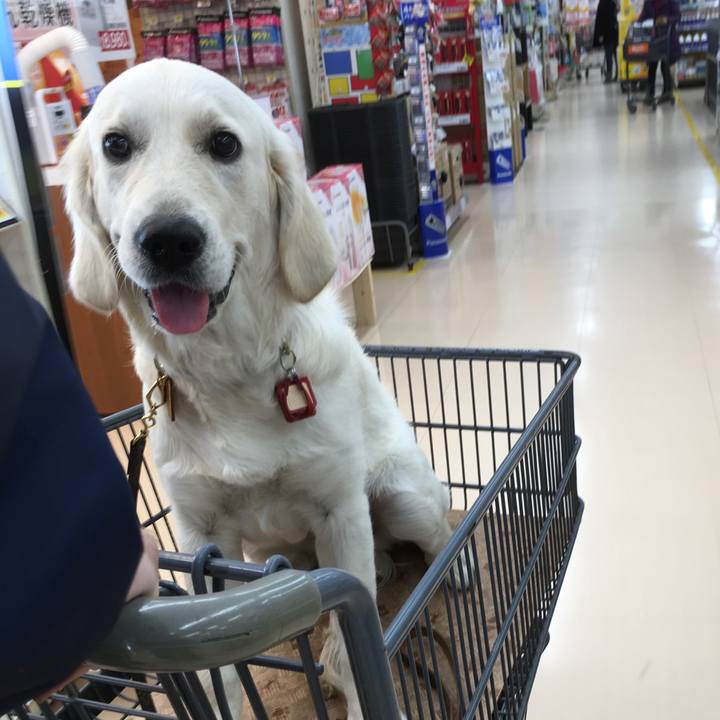 C210ce4b 135b 4e36 9d6a be21381d21dc