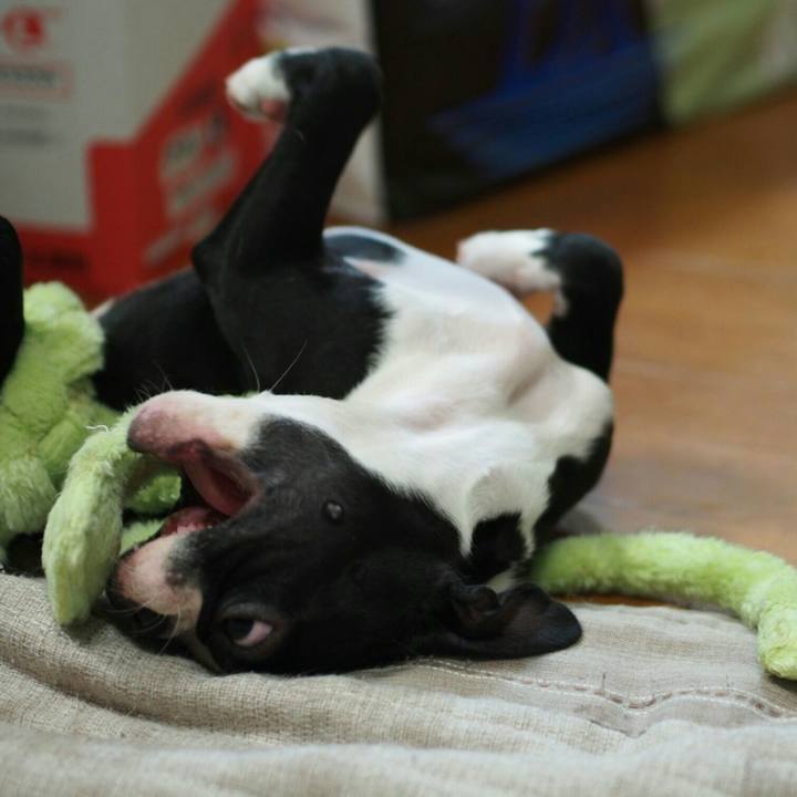 C210f790 59d2 4838 8540 fa2f3a70be14