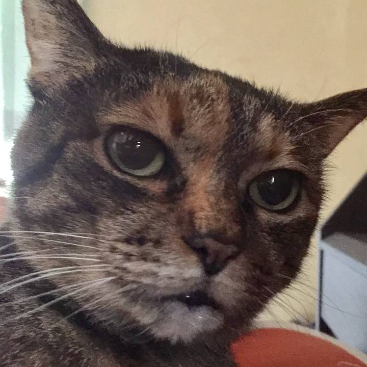 C213bdd3 e6ae 43f9 960b 0710c47f34d3