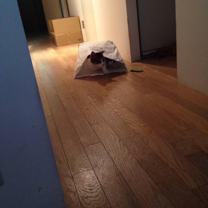 C213d269 9ecb 42f5 ab9f 565bd4a34459