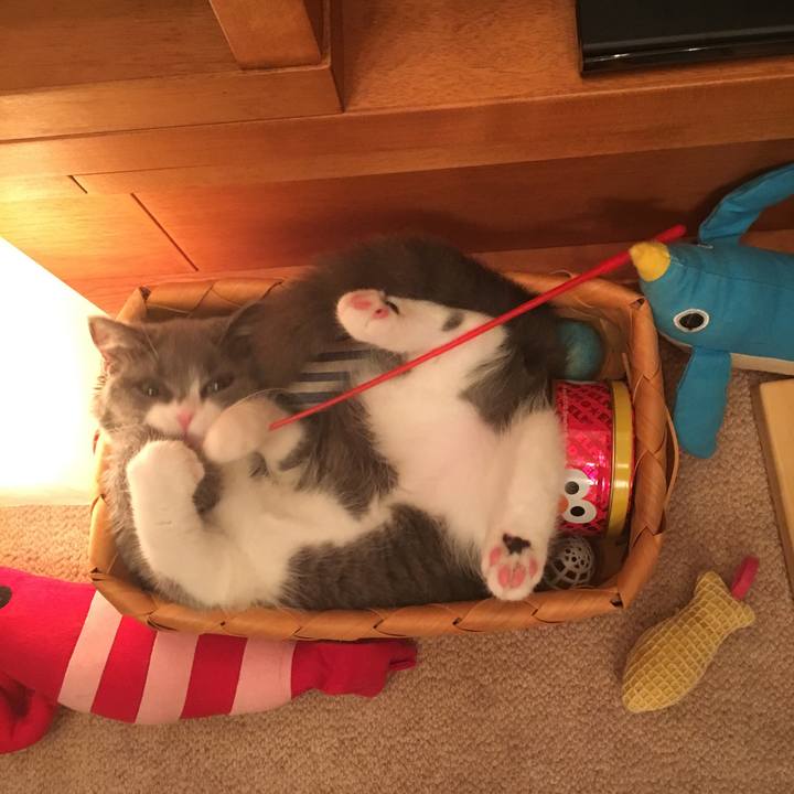 C214d259 1b70 4c28 8f25 a645b805fa09