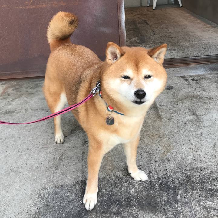 C21533c5 fc28 48c5 9019 a1a536dddf2e