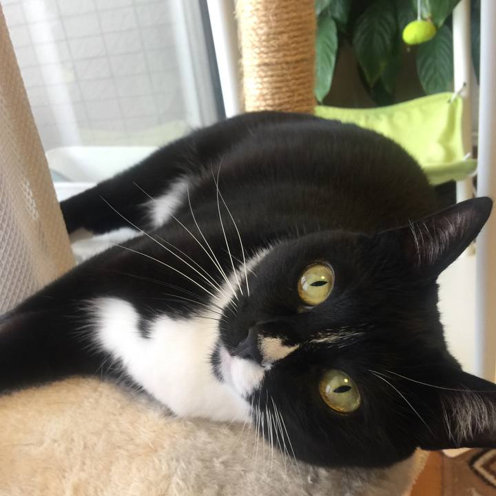 C2155065 57cc 4f8e 93a6 ab2ff613e85e