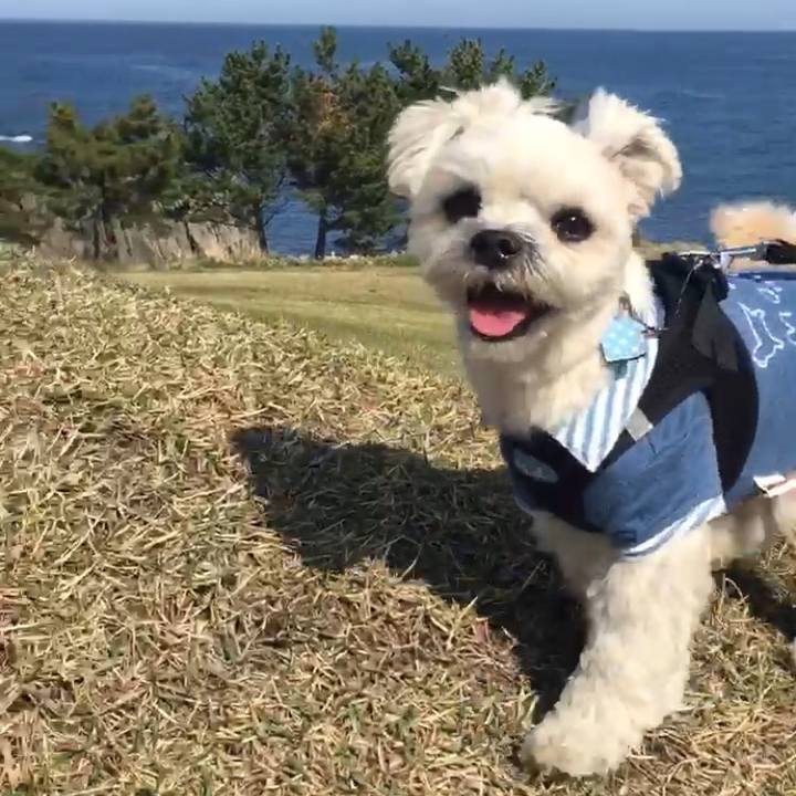 C215ac25 ad24 41b1 97a7 003db037f3df