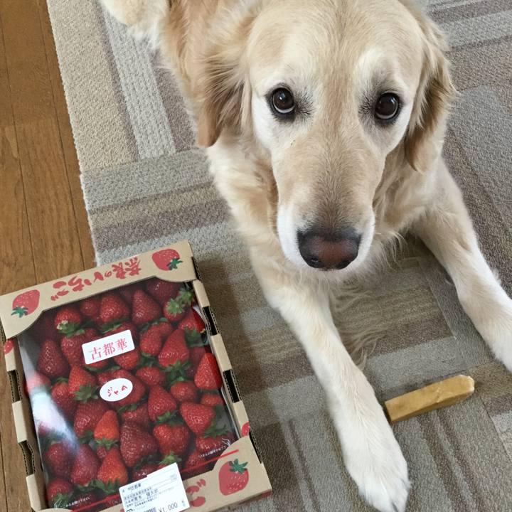 C21639e0 22d6 41c3 bbbf 1a2277d7dec0