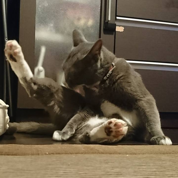 C216f54b 5aba 46a7 b912 87a1846840dd