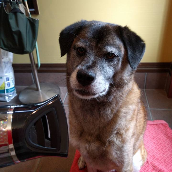 C218f96a 5c04 456e bf29 a4bc452d2740