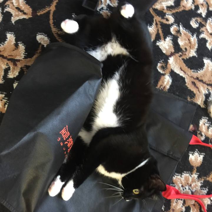 C2193b36 bb82 41f4 96ba fc7fea9ea113