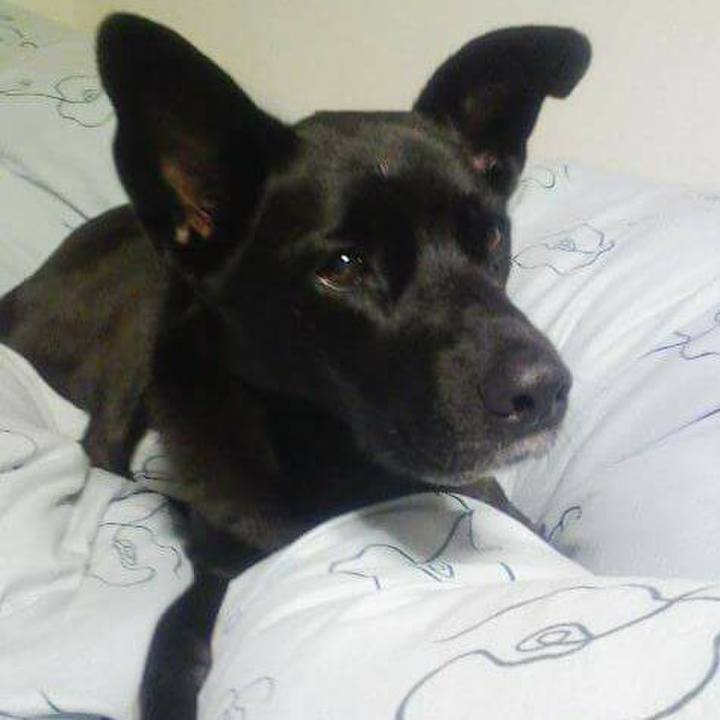 C2199528 aa3f 48c3 a636 dee039447bb0