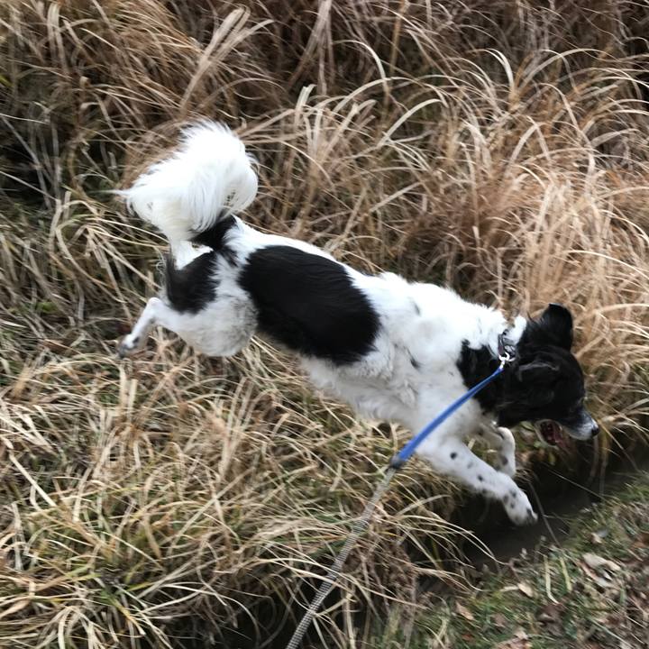 C21a906a a0a0 4433 beac c6f98388aa00