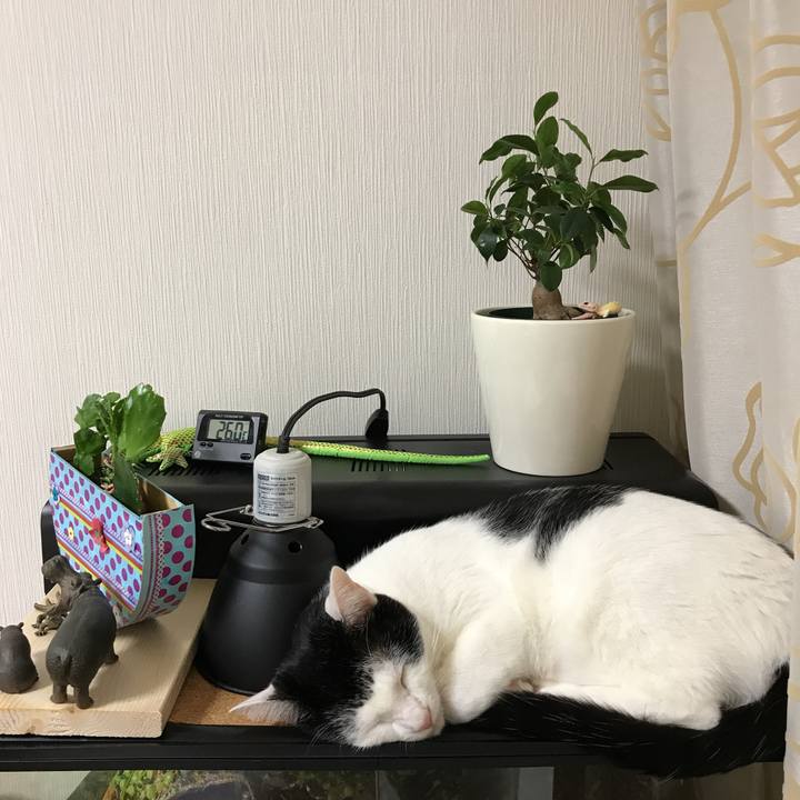 C21ad851 18f7 4908 9282 b1e930c1bf01