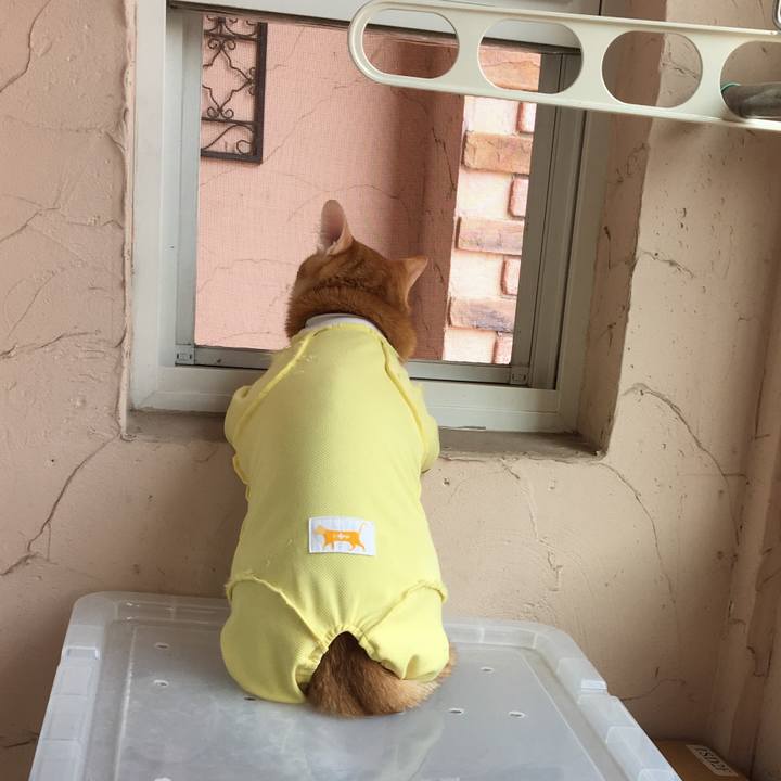 C21bacdf 2486 499e a82a 1613e839bcf7