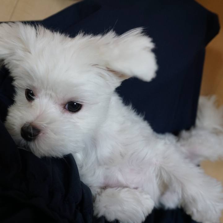 C21be32f 14e7 4238 b737 83d9f9965e09