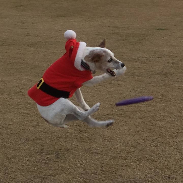 C21cad44 f9b8 4396 9116 9b21bd285c84