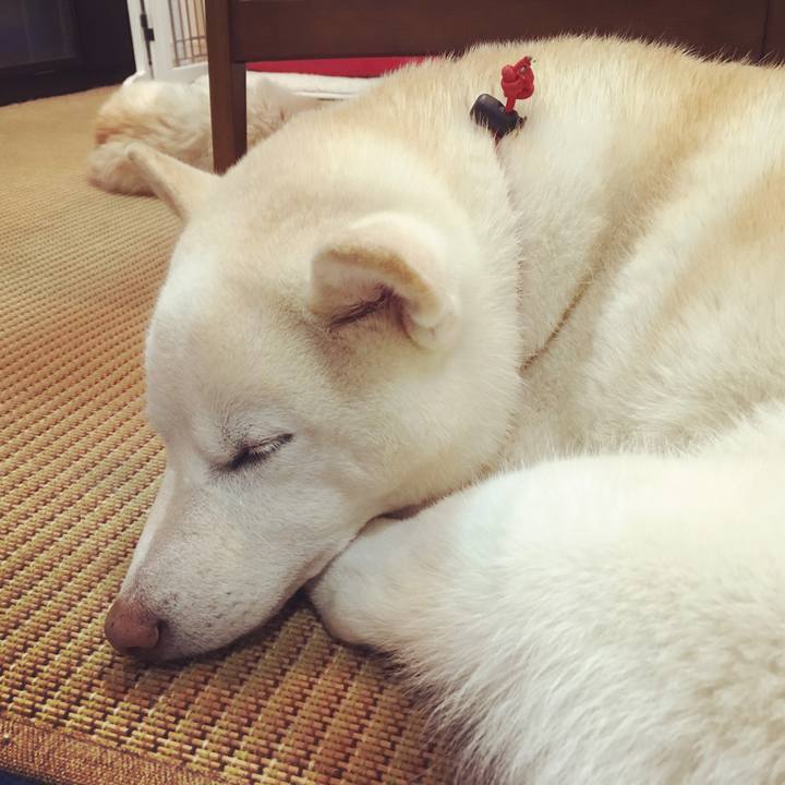 C21cbfc0 78ec 4fca 8417 84c5ad6727bd