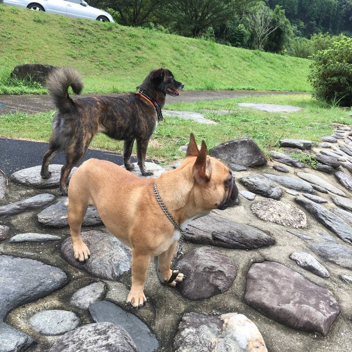 C21cecc3 ff9a 45b5 9f75 d7add765becf