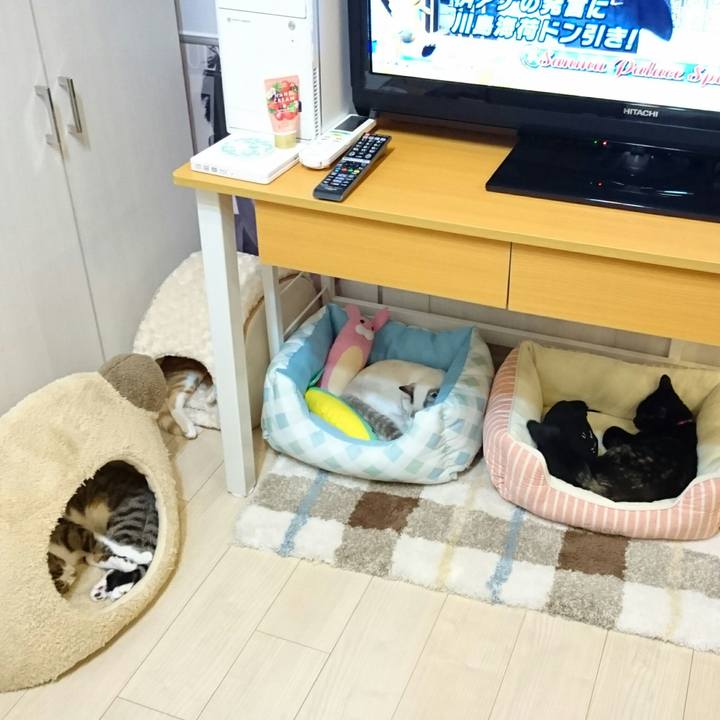 C21deb46 64ab 4195 be03 58f7a957899a