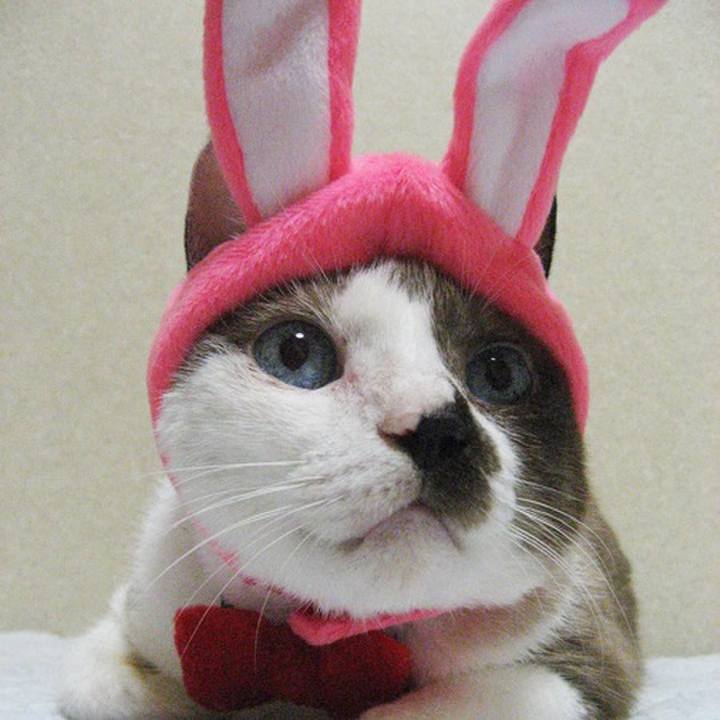 C21e2502 c6e8 461c a9fc c4163a5f4fa3