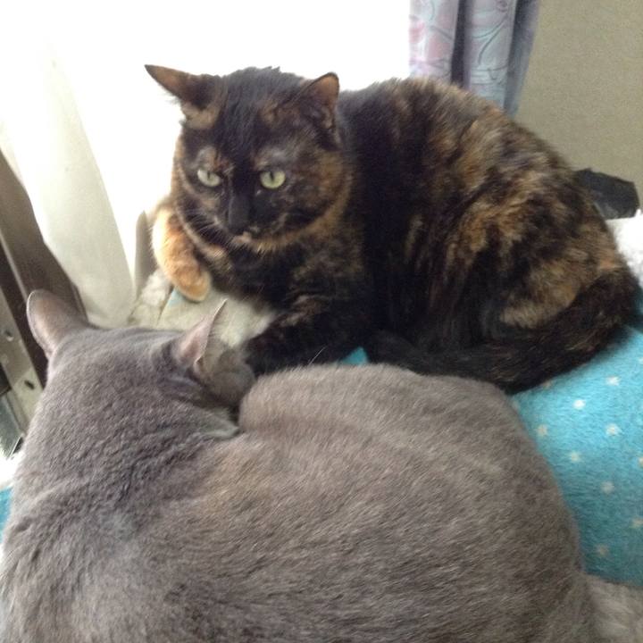 C21e35c2 76d9 4900 b9ad 193073d04242