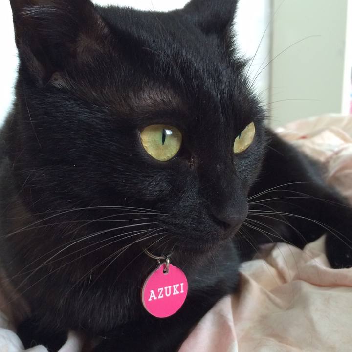 C21ea66d 52a9 4040 9683 1a89c5fdeace